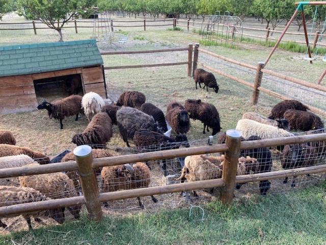 Agriturismo San Michele San Michele  المظهر الخارجي الصورة