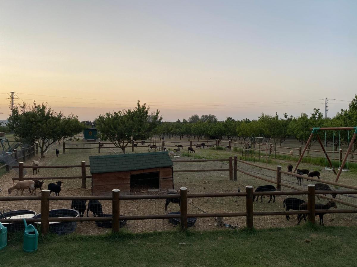 Agriturismo San Michele San Michele  المظهر الخارجي الصورة