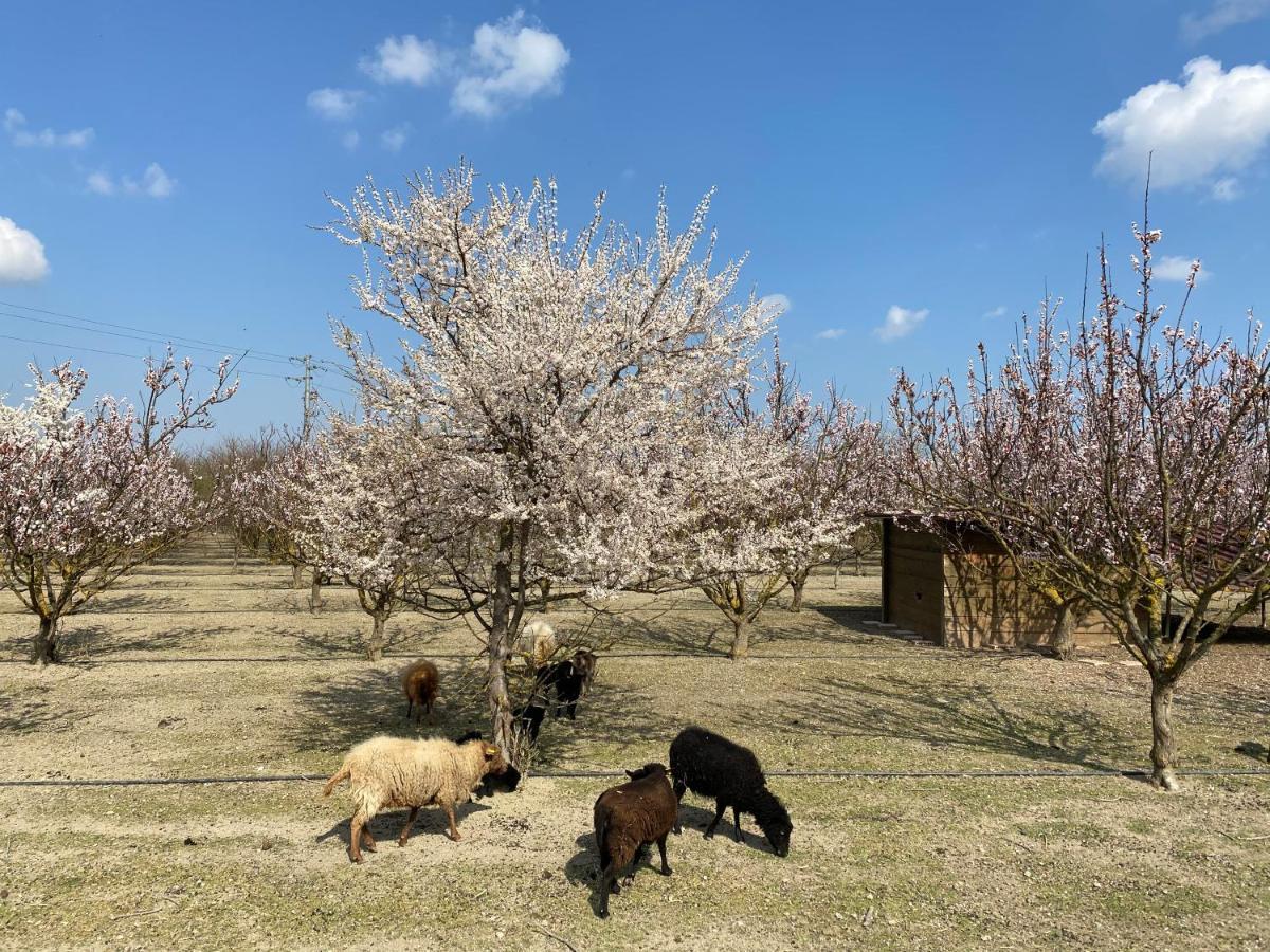 Agriturismo San Michele San Michele  المظهر الخارجي الصورة